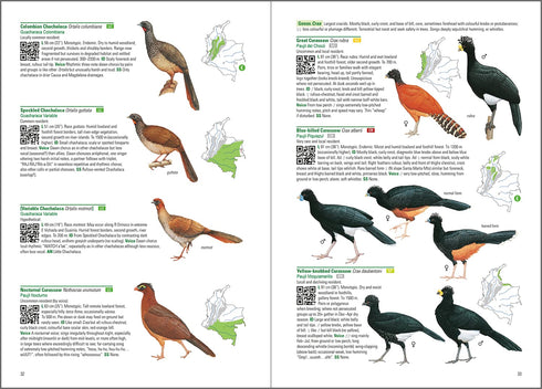 Birds of Colombia -Hilty 2021 Kovakantinen